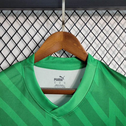 Camisa Manchester City Goleiro II 23/24 - Puma Torcedor Masculina - Verde