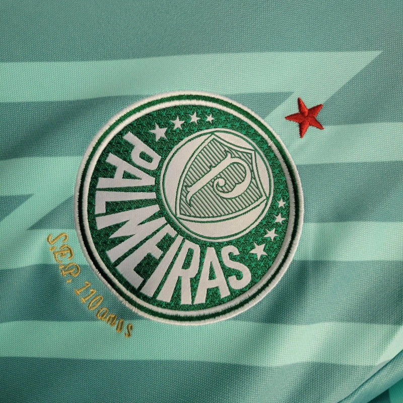 Camisa Palmeiras Goleiro 24/25 - Puma Torcedor Masculina - Verde