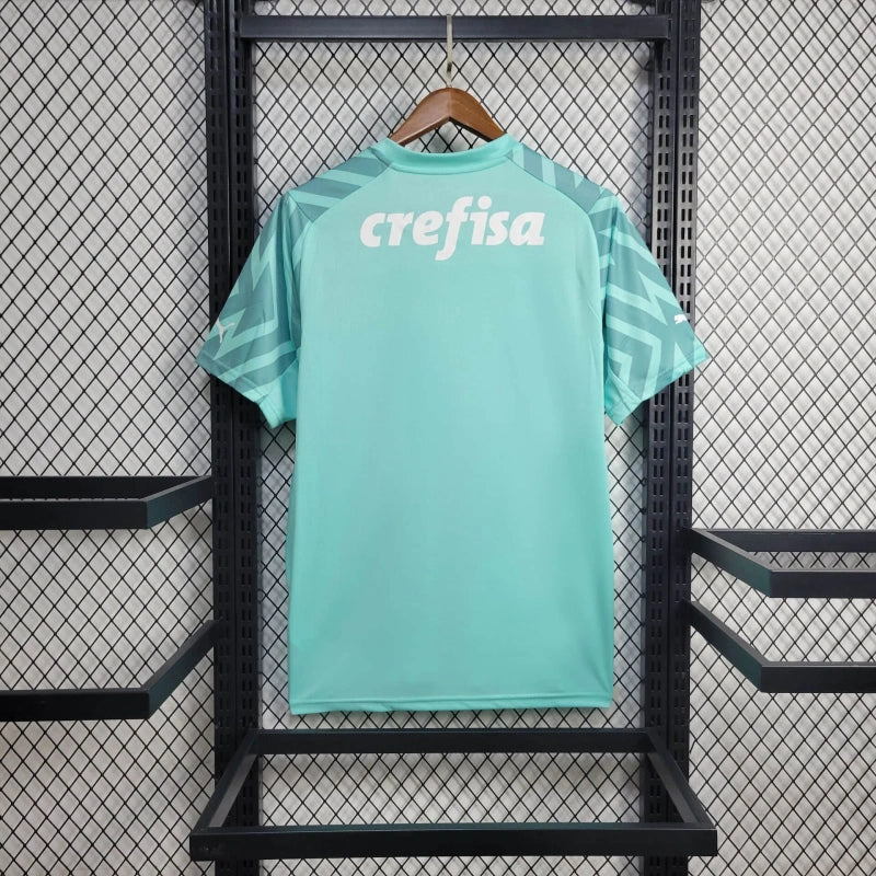 Camisa Palmeiras Goleiro 24/25 - Puma Torcedor Masculina - Verde