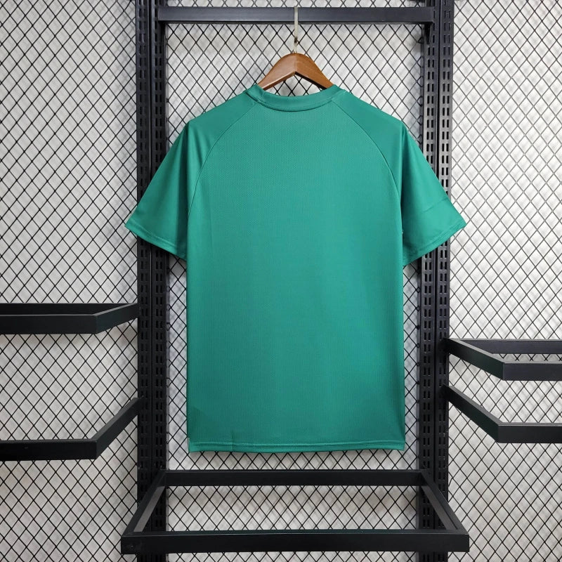 Camisa Palmeiras Treino 24/25 - Puma Torcedor Masculina - Lançamento